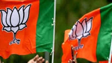 Photo of बीजेपी-कांग्रेस फलौदी सट्टा बाजार के दावे से हैरान