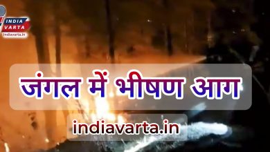 Photo of उत्तराखंड  के जंगलों में भयंकर आग, जिसमें आठ वनकर्मी झुलसे और चार की मौत