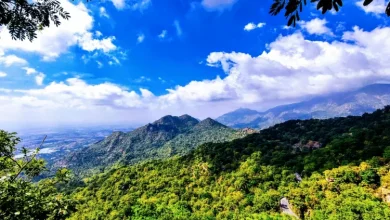 Photo of कम बजट में माउंट आबू घूमने का प्लान: सिर्फ ₹10,000 में पूरा ट्रैवल, जेब पर नहीं पड़ेगा भार